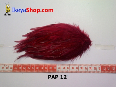 bulu PAD polos PAP 12   feather  large2